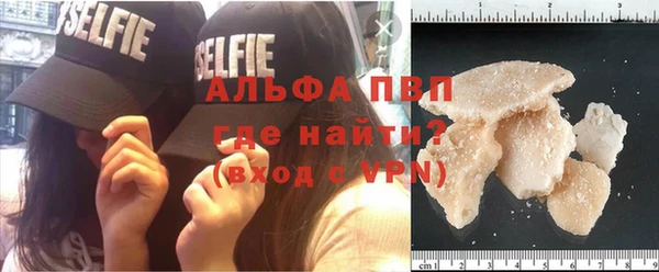 эйфоретик Белокуриха